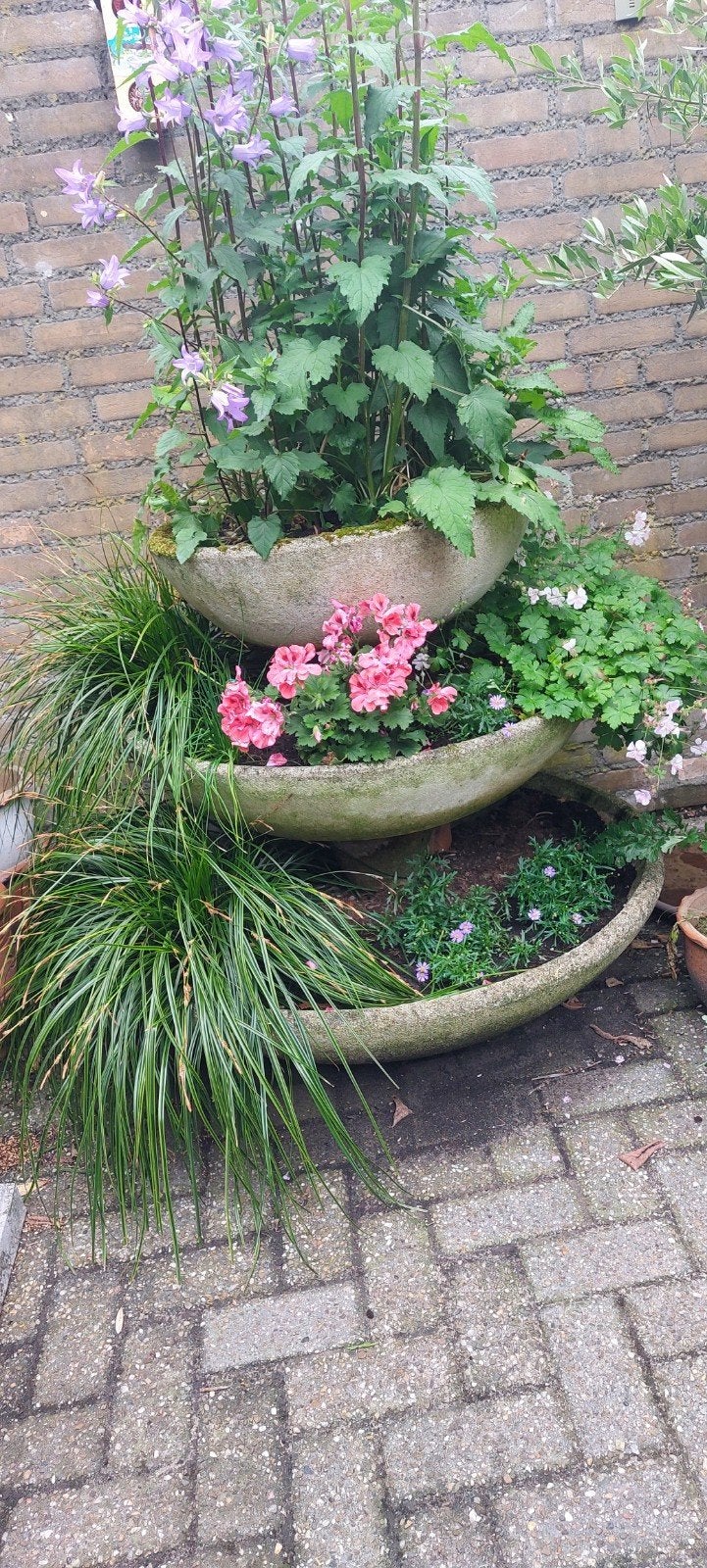 250.00euro   betonnen bloembakken 3 met losse steun,moeten w, Tuin en Terras, Ophalen, Gebruikt, Rond, Minder dan 30 cm
