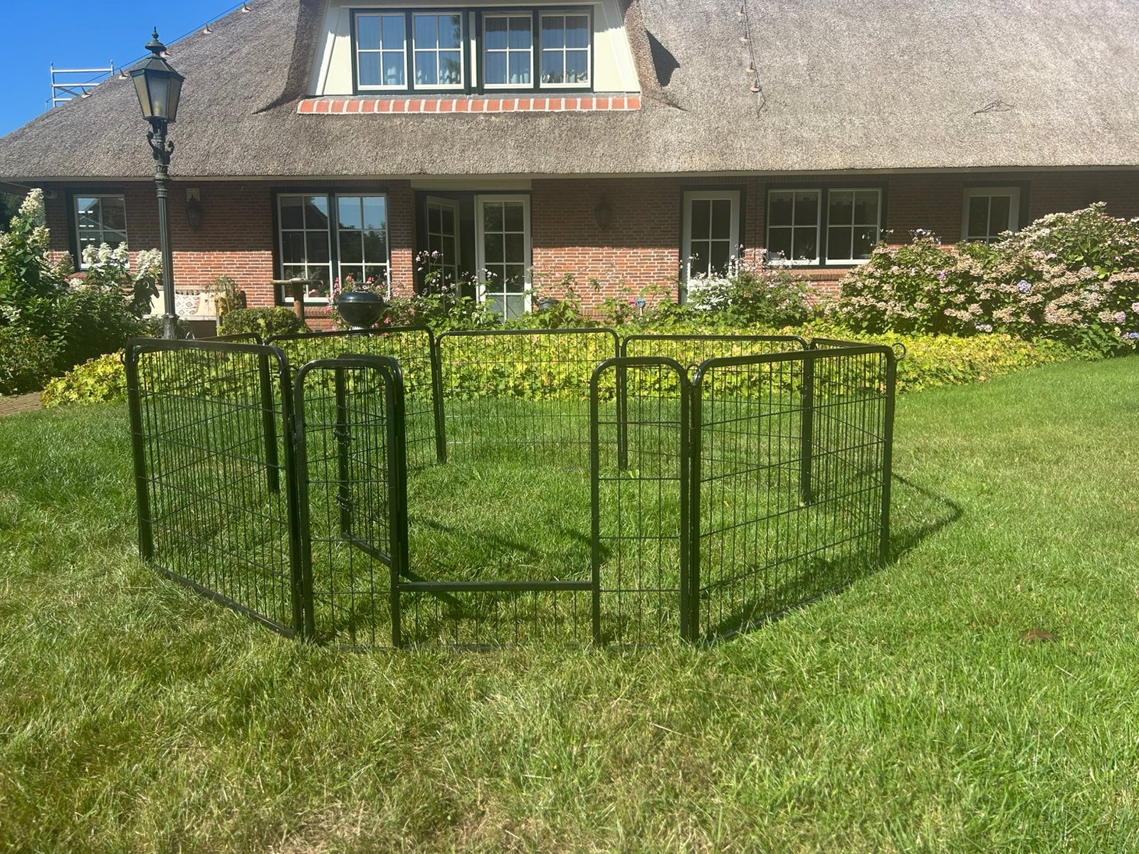 Honden ren, Dieren en Toebehoren, Ophalen, Zo goed als nieuw, 110 cm of meer, Minder dan 65 cm