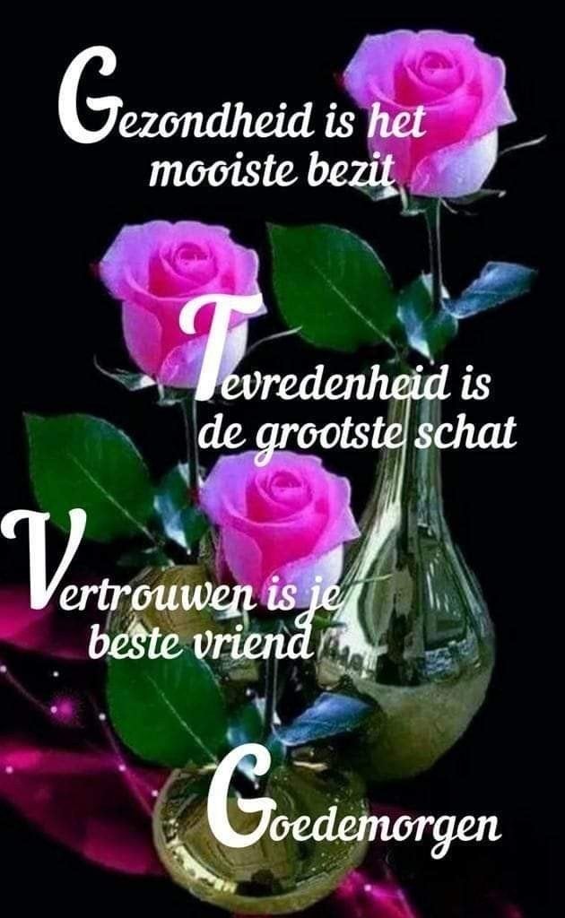 nette verzorgde man, Contacten en Berichten