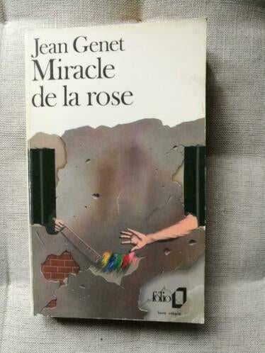 Jean Genet - Miracle de la rose, Boeken, Ophalen of Verzenden, Gelezen, Jean Genet
