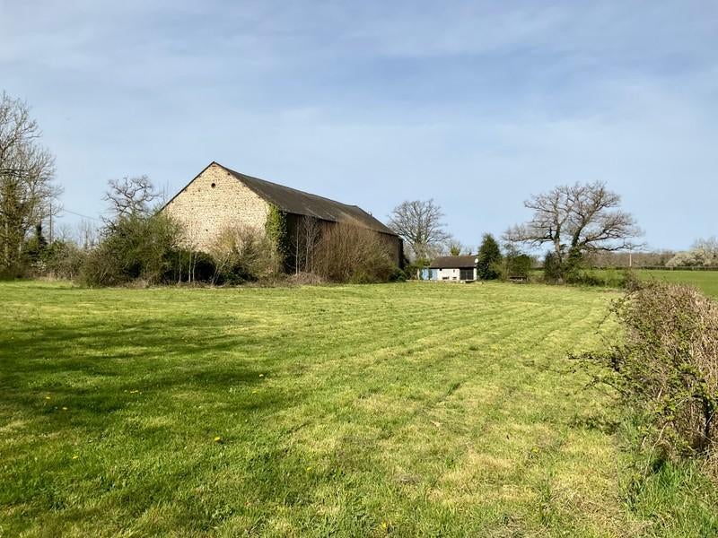 Gezocht: Omgeving Arnhem: te huur stal met weidegang, Weidegang, 4 paarden of pony's of meer