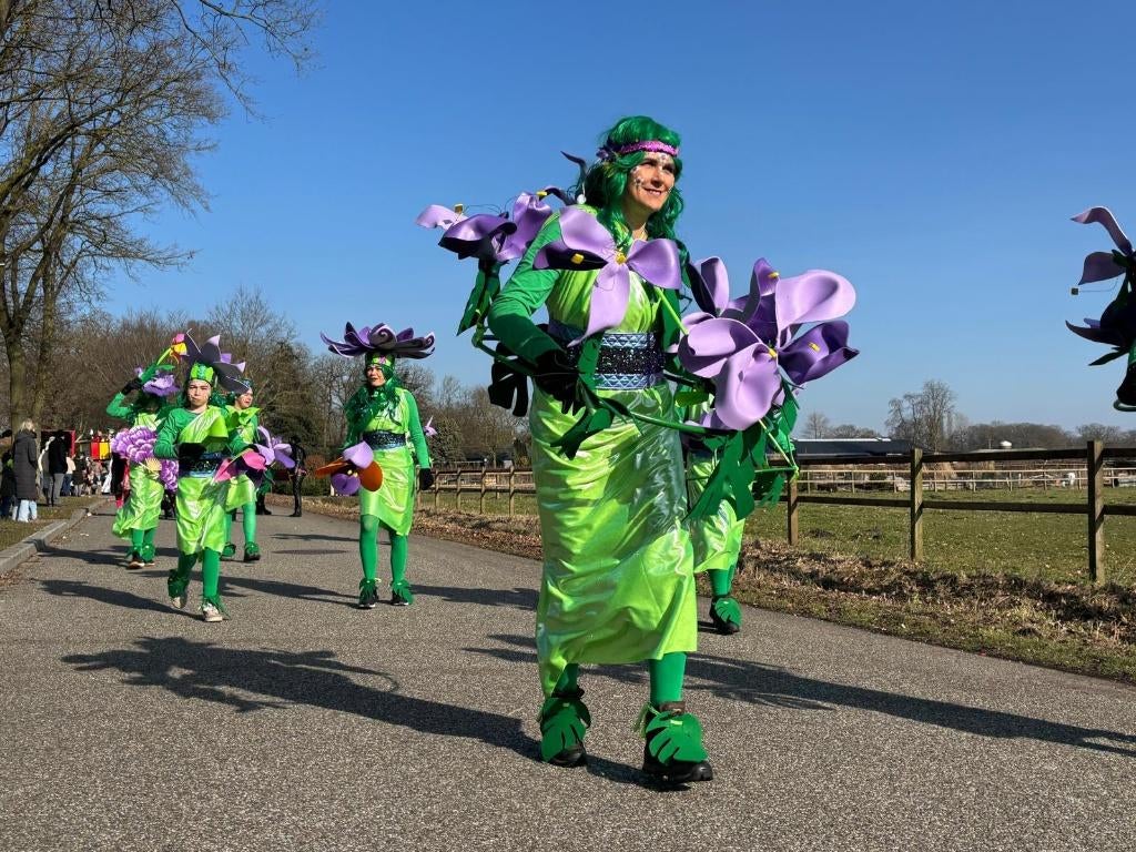 28x Carnavalspakken – Thema: Bloemen (incl. accessoires!), Ophalen, Gedragen, Carnaval, Kleding