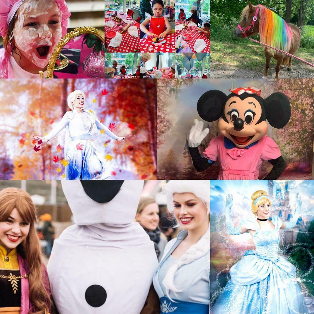 Elsa prinses inhuren, mascotte, Minnie mouse , schminkster, Kinderdisco