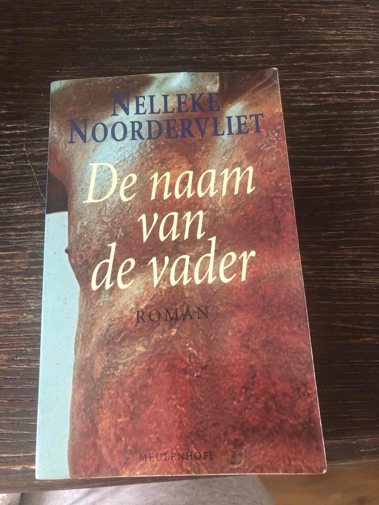 De naam van de vader - Nelleke Noordervliet, Ophalen of Verzenden, Gelezen, Nederland