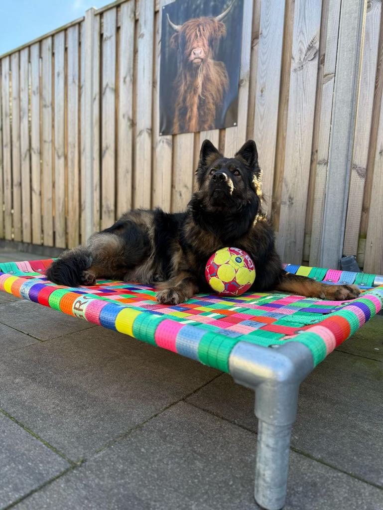 Hondenmand✅ hondenkussen hondenstretcher hondenbed bench dog, 110 cm of meer, Minder dan 65 cm, 5334LB, Nieuw