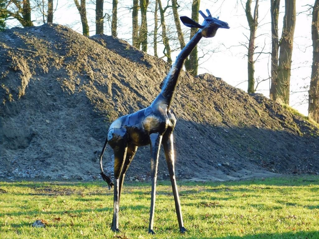 Handgemaakte Giraffe - 155 cm - Metaal, Verzamelen, Beelden en Beeldjes, Zo goed als nieuw, Mens, Ophalen of Verzenden