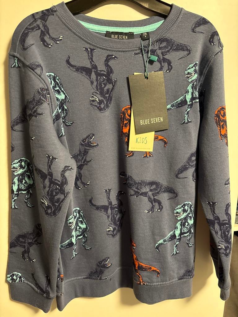 Stoere Dino Trui - Maat 116, Ophalen, Nieuw, Jongen