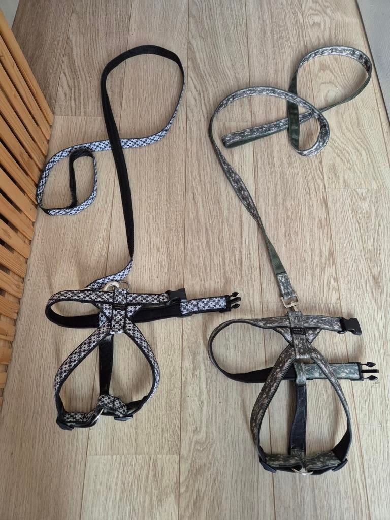 2 Franse bulldog tuigjes + riem 27,50 p.s., Ophalen of Verzenden