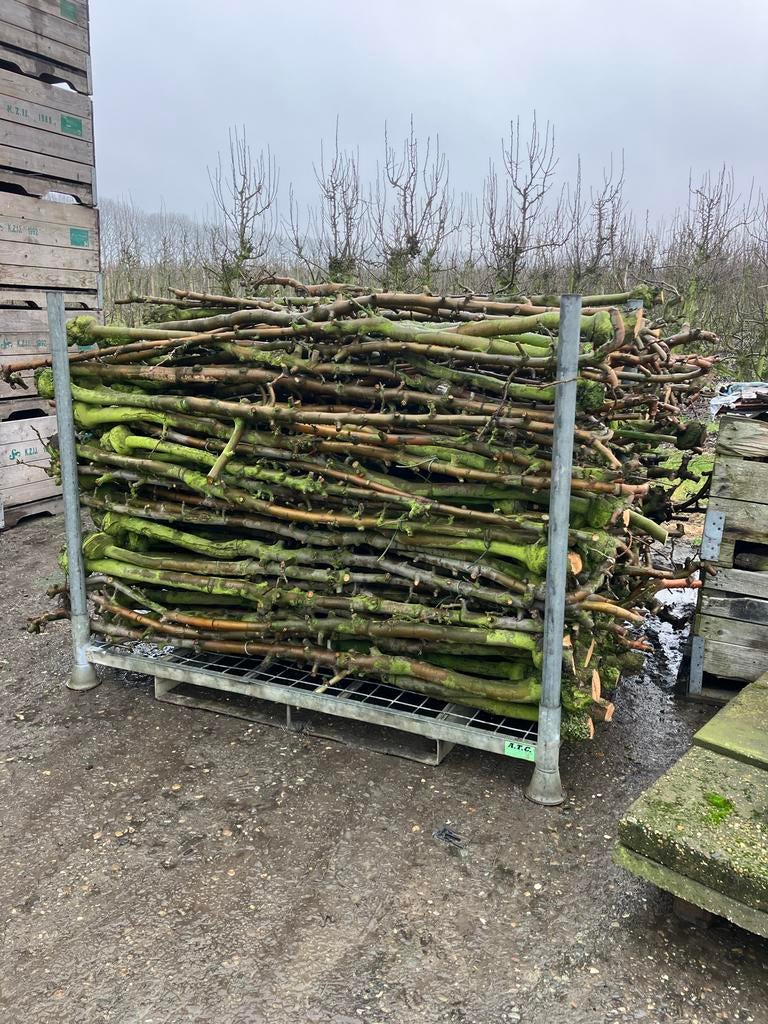 Openhaardhout stookhout, Minder dan 3 m³, Ophalen, Overige houtsoorten, Stammen