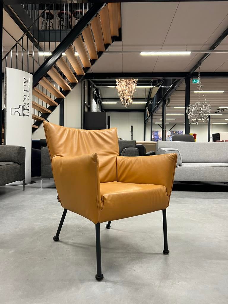 Showmodel Label Vandenberg Togo Fauteuil Leer Design stoel, Zo goed als nieuw, Label van den Berg, 50 tot 75 cm, Leer