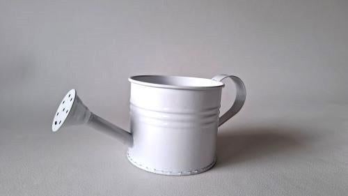 Gieter 9 cm p/st., Ophalen of Verzenden, Nieuw