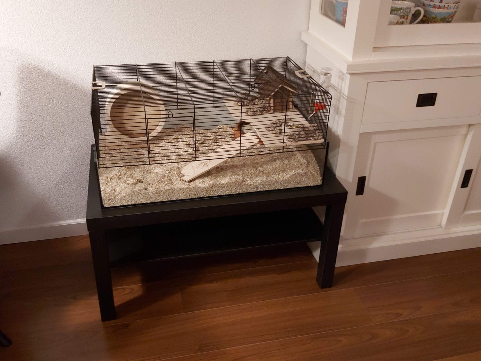 Glazen hamsterkooi, Dieren en Toebehoren, Kooi, Hamster, 75 tot 110 cm, Ophalen