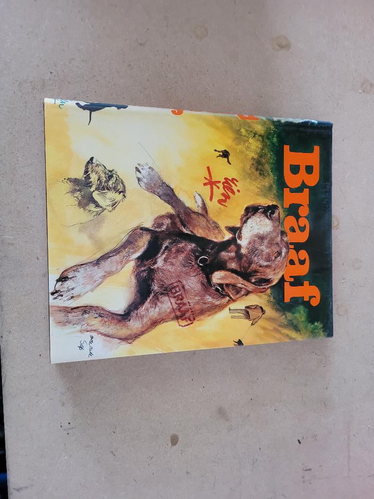 braaf rien poortvliet, Boeken, Sprookjes en Fabels, Ophalen of Verzenden, Zo goed als nieuw