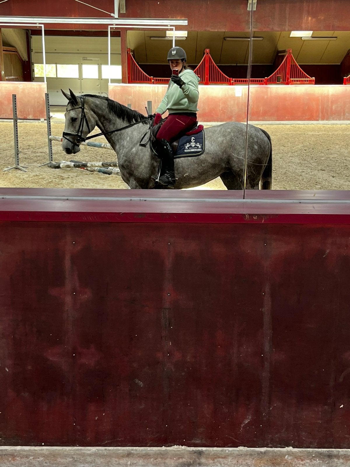 Drachtige 6 jarige Kazan Z x Carthago merrie te koop, Dieren en Toebehoren, Paarden, Merrie, Springpaard, 3 tot 6 jaar, 160 tot 165 cm