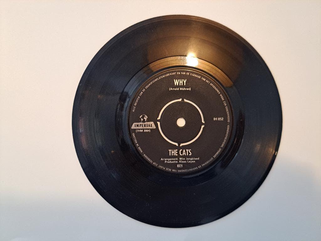 Single: The Cats - Why / Mandy, My Dear, Cd's en Dvd's, Vinyl Singles, Gebruikt, 7 inch, Single, Ophalen of Verzenden