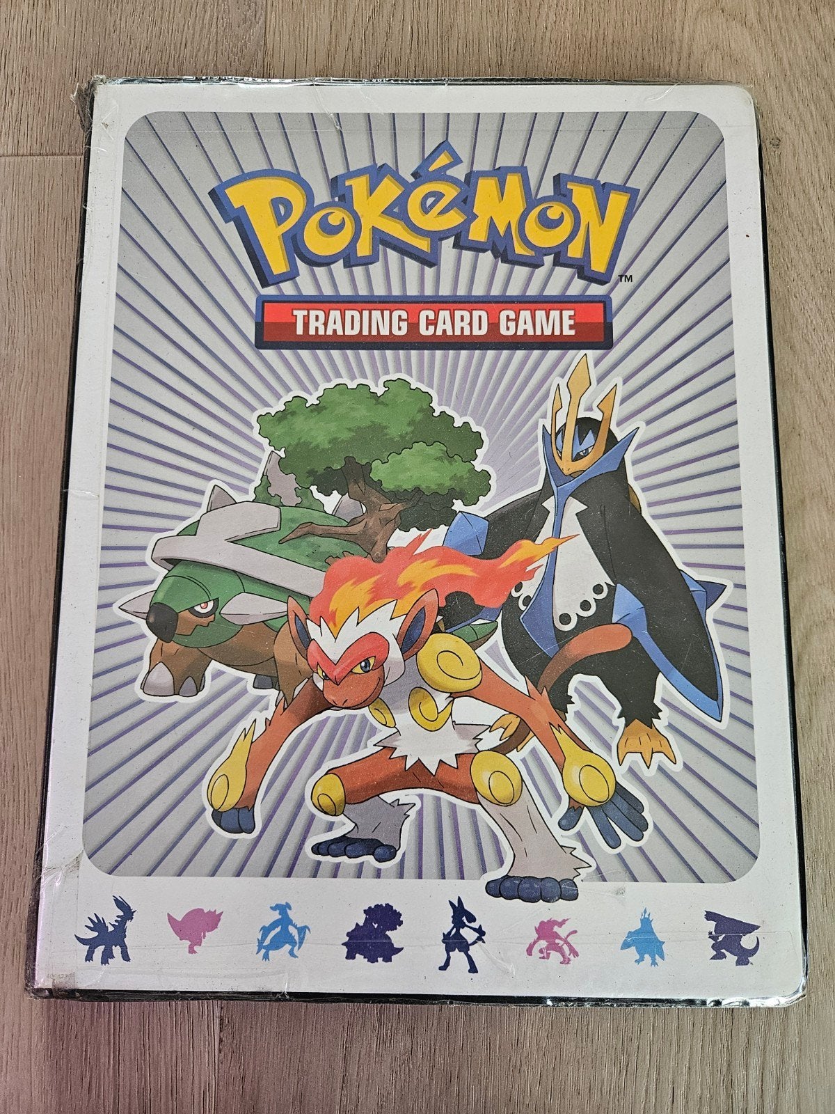 Pokémon kaarten verzamelmap met diverse kaarten, Ophalen, Gebruikt, Meerdere kaarten