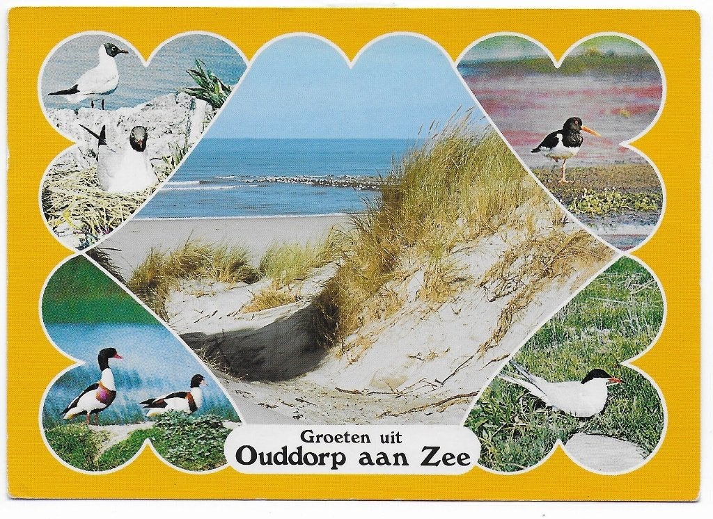 Ouddorp aan Zee Gelopen Ansichtkaart ( B6004 ), Ophalen of Verzenden, 1980 tot heden, Gelopen, Zuid-Holland