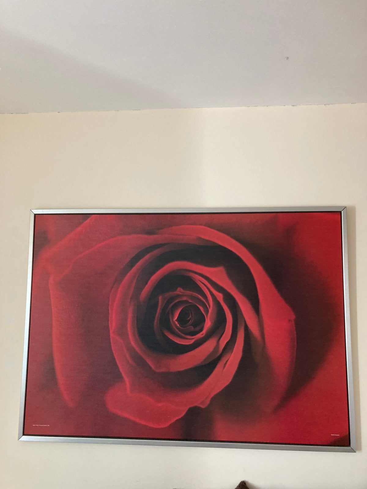Schilderij Rode Roos (140 x 100 cm) Met Aluminium Lijst, Huis en Inrichting, Woonaccessoires | Schilderijen, Tekeningen en Foto's