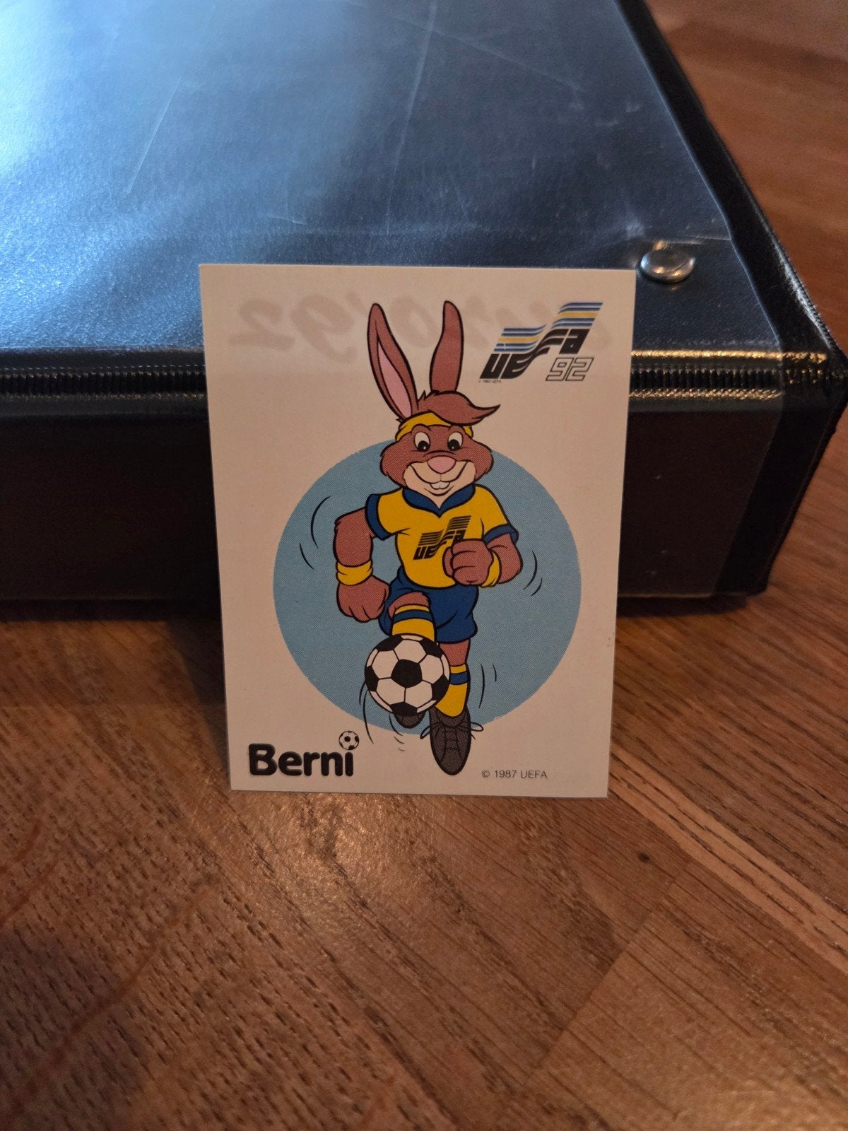 Panini EK 92, Ophalen of Verzenden, Zo goed als nieuw, Sticker