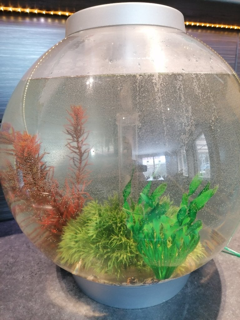 biorb 30l aqarium en toebehoren, Gebruikt, Ophalen of Verzenden, Leeg aquarium, Reef Factory