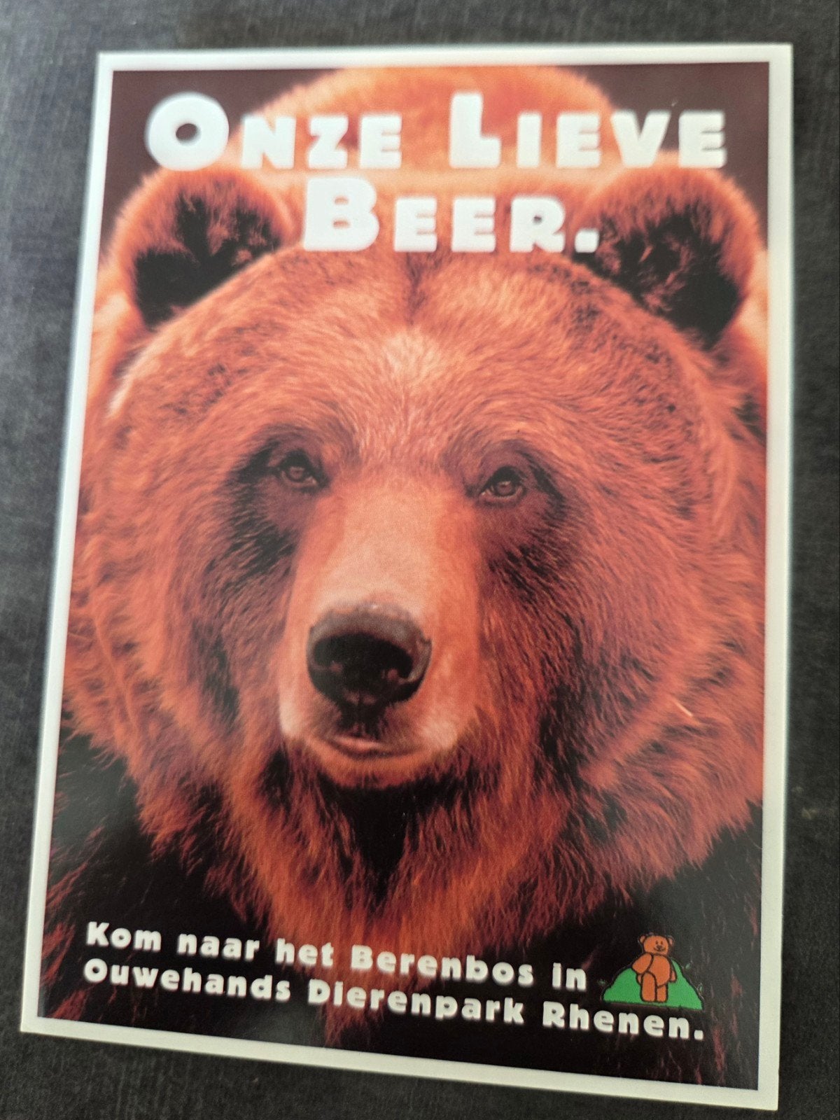 Ansichtkaart Ouwehands Dierenpark Rhenen - Berenbos, Verzamelen, Verzenden, 1980 tot heden, Ongelopen, Overige thema's