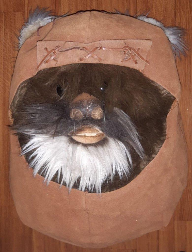 STAR WARS Ewoks rugtas, Verzenden, Zo goed als nieuw, Overige typen