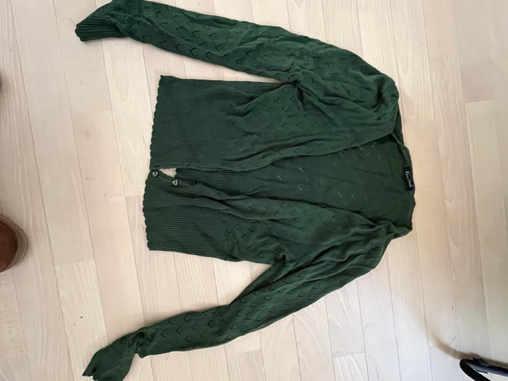 King Louie vestje maat M groen, Kleding | Dames, Ophalen of Verzenden, Zo goed als nieuw, Maat 38/40 (M), Groen