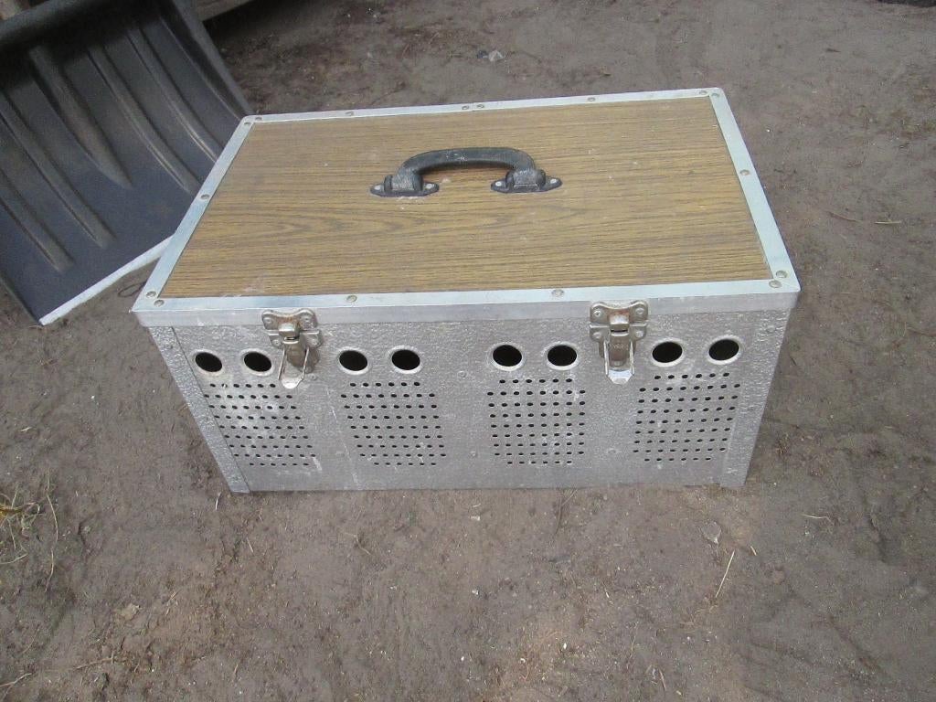 4vaks duiven mand  10euro, Dieren en Toebehoren, Vogels | Duiven, Meerdere dieren, Overige soorten