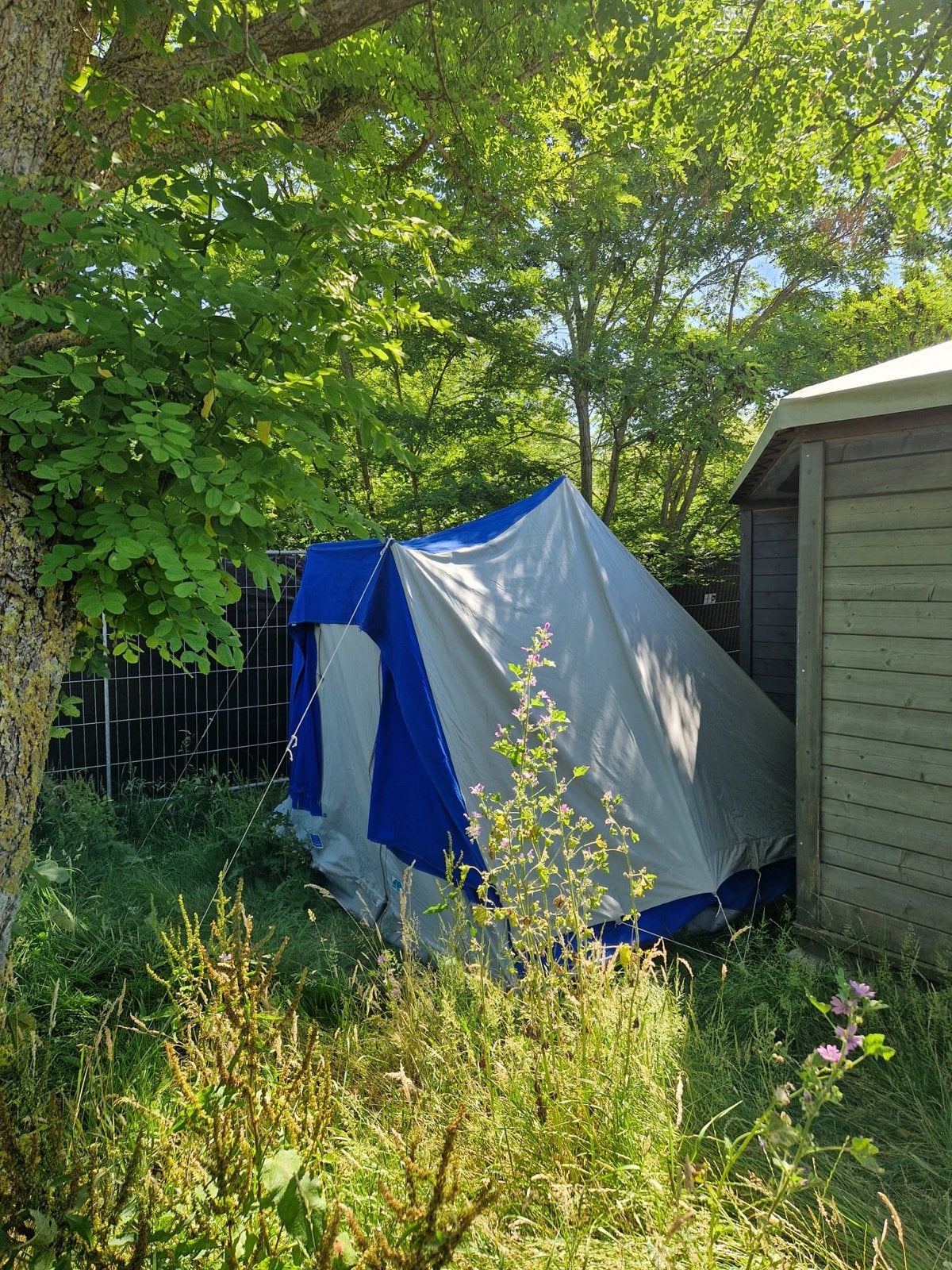 Japio De Vrijbuiter Scirocco Vastkuip Tent, Ophalen, Gebruikt, Tot en met 3