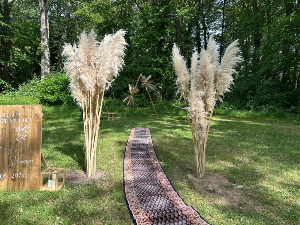 XL gedroogde pampas pluimen | 220cm | Bruiloft decoratie, Ophalen, Zo goed als nieuw