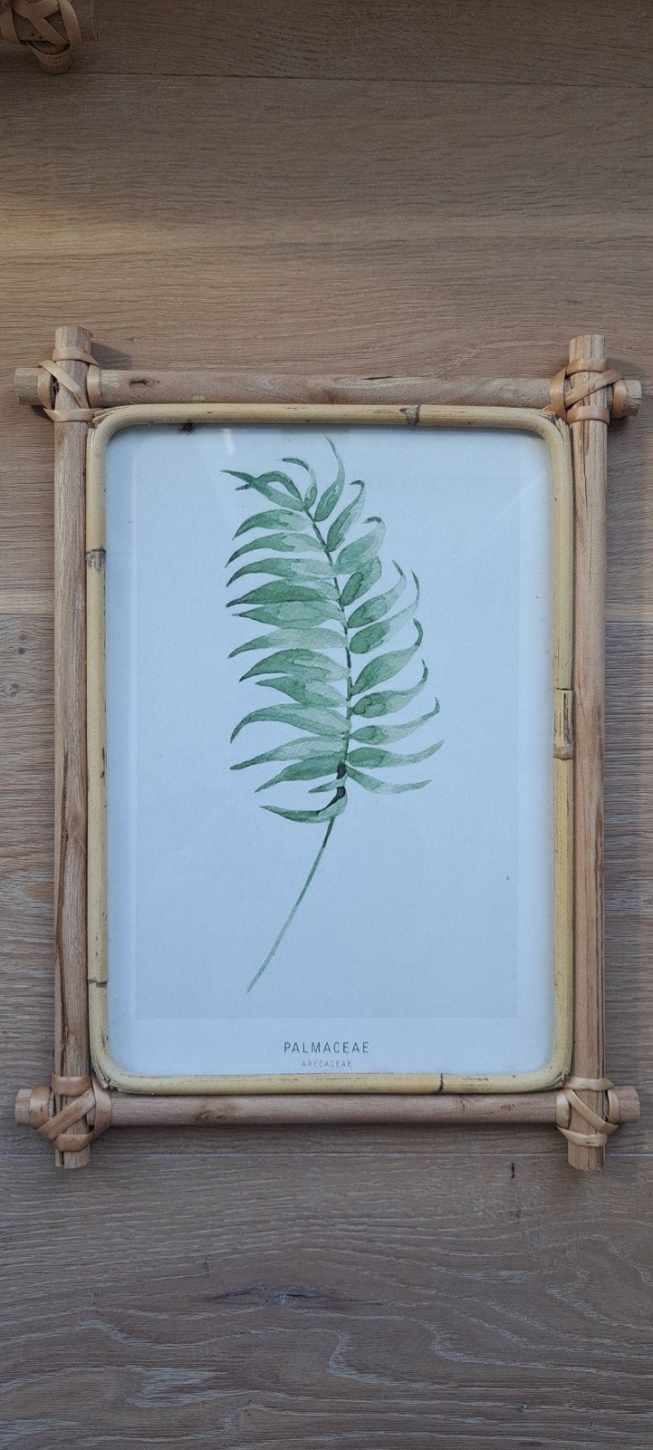 Rotan fotolijst met palmblad print, Verwisselbare inhoud, Bruin, Ophalen of Verzenden, Zo goed als nieuw