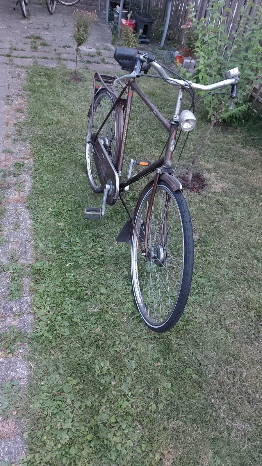 Fiets, 59 cm of meer, Ophalen, Schijfrem