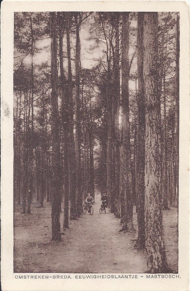 Omstreken Breda Mastbosch Oude Ongelopen Ansichtkaart B1232, Ophalen of Verzenden, 1920 tot 1940, Ongelopen, Noord-Brabant