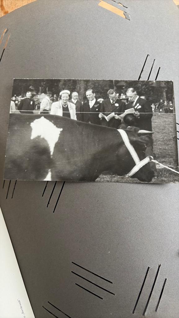 Oude Foto kaart koe juliana en bernard koningshuis, Verzamelen, Ansichtkaarten | Themakaarten, Ophalen of Verzenden