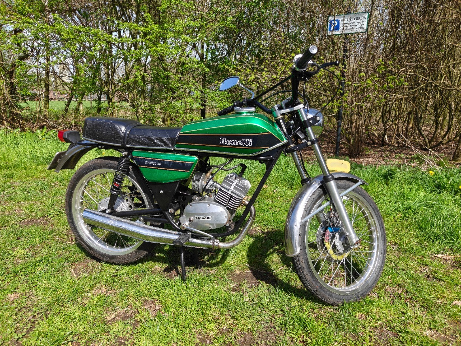 Benelli T50 - Klassieke bromfiets in uitstekende staat, Ophalen, 4 versnellingen, 50 cc, Overige merken
