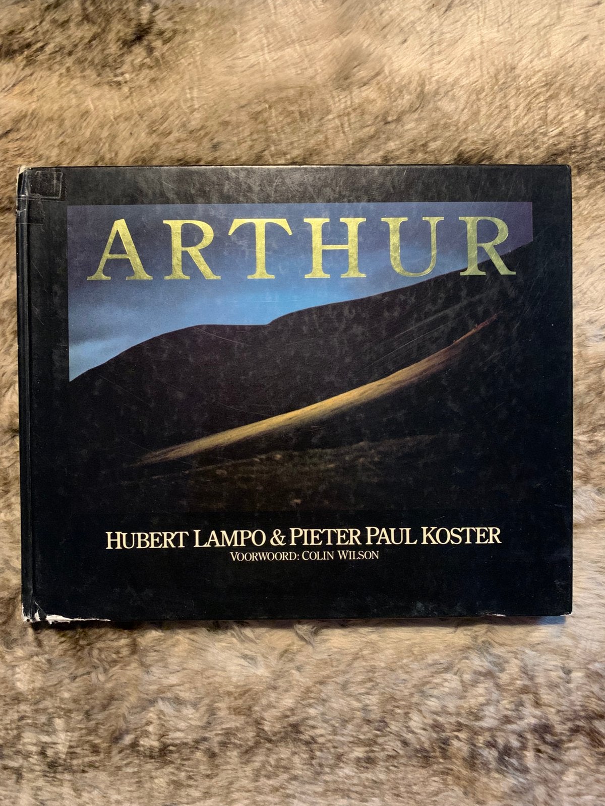 Arthur- Hubert Lampo/P P Koster, Ophalen of Verzenden, Gelezen