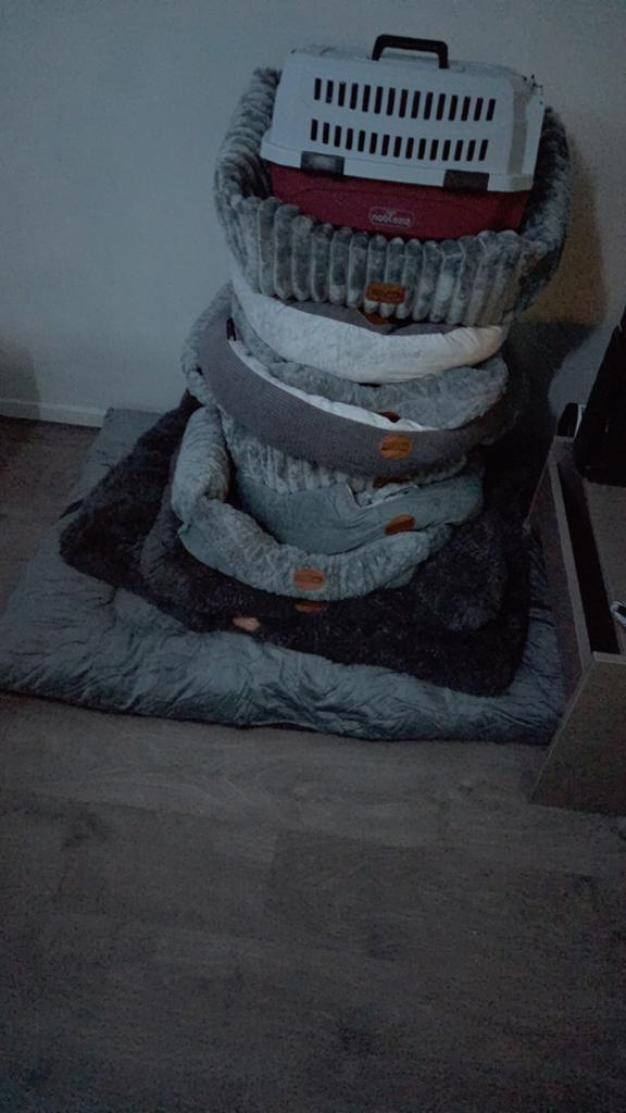 Honden en katten manden, Ophalen