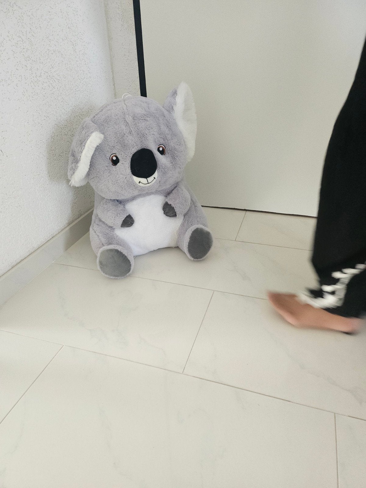 koala, Ophalen of Verzenden, Nieuw, Overige typen