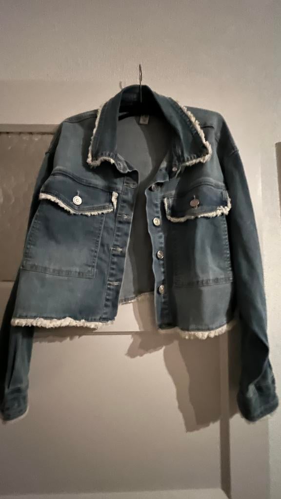 Spijker jas, Ophalen of Verzenden, Zo goed als nieuw, Maat 38/40 (M), Blauw