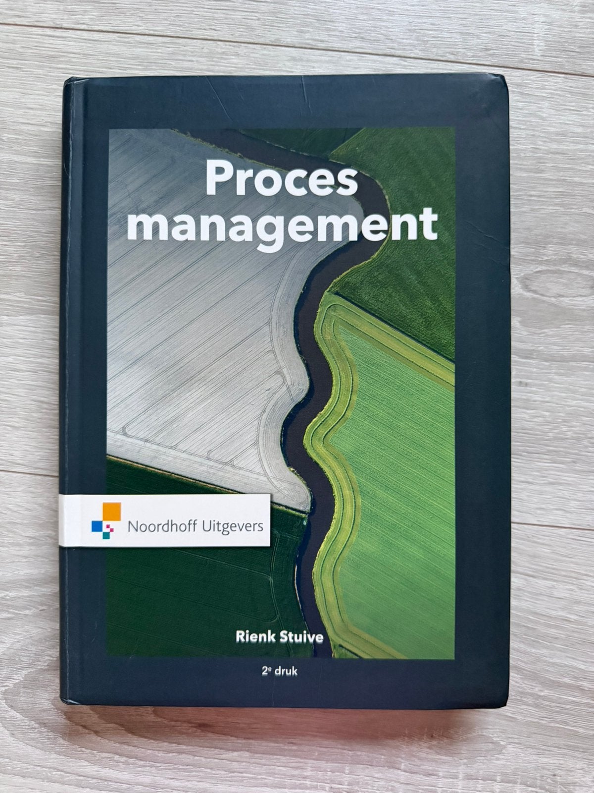 Rienk Stuive - Procesmanagement, Ophalen of Verzenden, Zo goed als nieuw, HBO, Rienk Stuive
