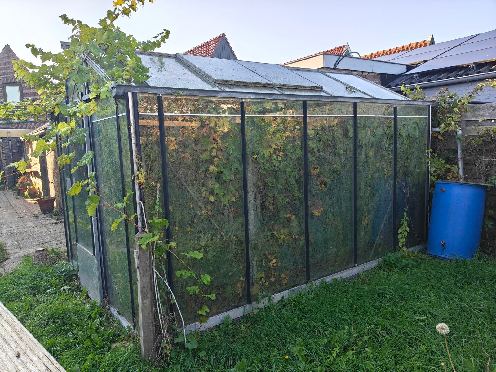 Ruime tuinkas 2500x4000x2500mm - Ideaal voor kweken!, Gebruikt, Kweekkas, Glas, Ophalen