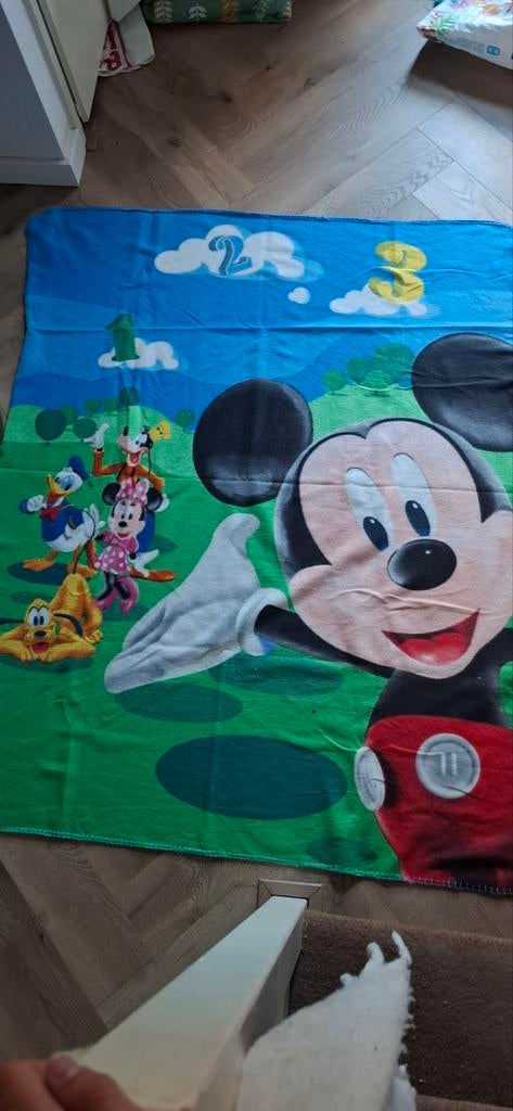 Mickey Mouse speelkleed / deken, Ophalen, Gebruikt