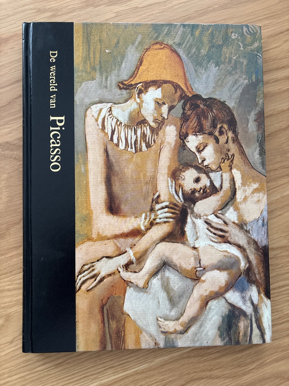 De wereld van Picasso - Kunstboek, Ophalen of Verzenden, Gelezen, Schilder- en Tekenkunst