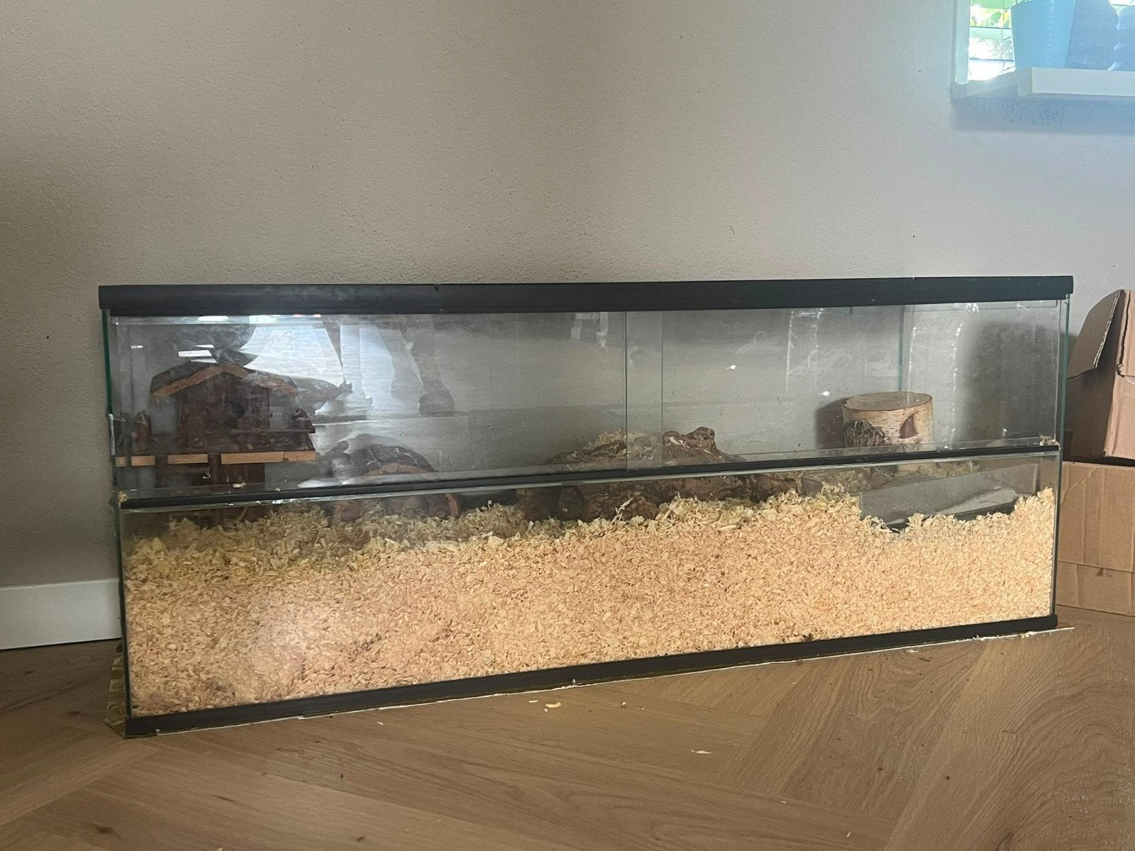 glazen hamster bak, Uilenburgstate, Kooi, Minder dan 75 cm, Marcel.weiland@hotmail.com