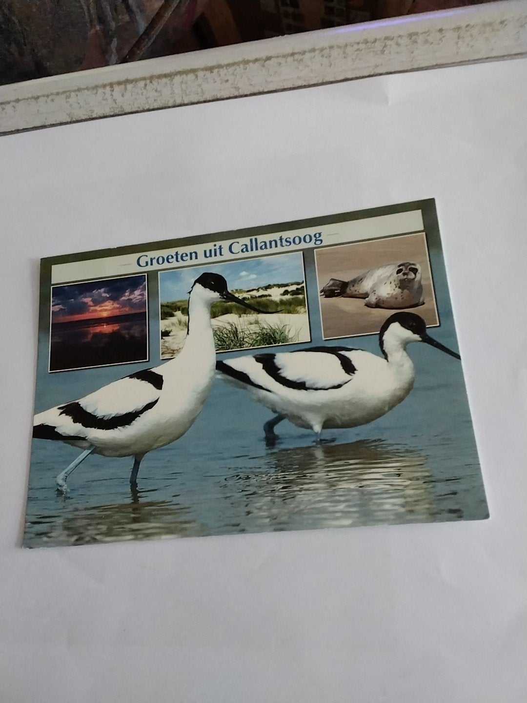 Ansichtkaart Groeten uit Callantsoog -, Ophalen of Verzenden