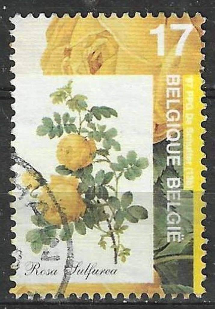 Belgie 1997 - Yvert 2710 /OBP 2709 - Flora - Rozen (ST), Verzenden, Gestempeld