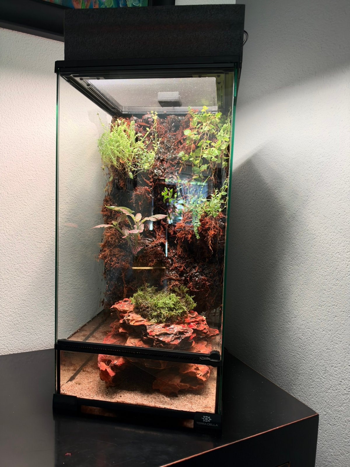 Vivarium uniek met dag en nacht ritme, Ophalen, Zo goed als nieuw