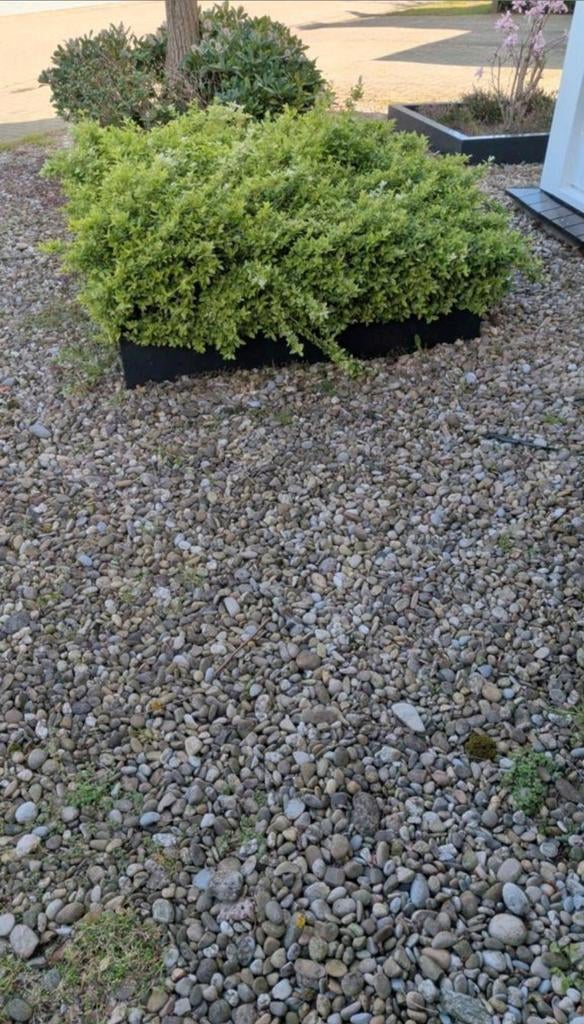 Grind tuin gratis, Tuin en Terras, Grind, Keien en Split, Ophalen of Verzenden, Gebruikt