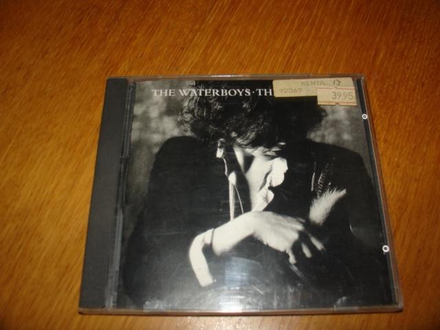 the waterboys - this is the sea, Ophalen of Verzenden, Gebruikt