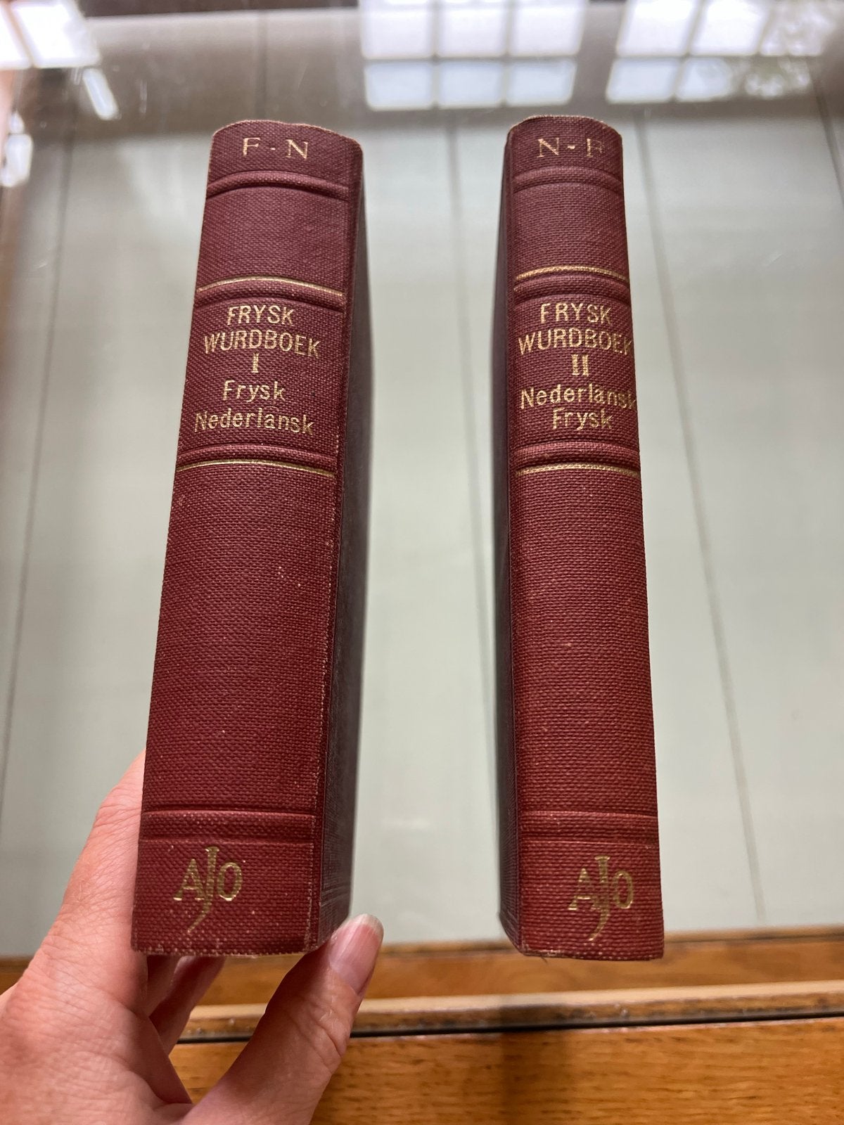 Frysk Wurdboek - Fries-Nederlands & Nederlands-Fries (2 dele, Ophalen of Verzenden, Gelezen, Overige uitgevers, Nederlands